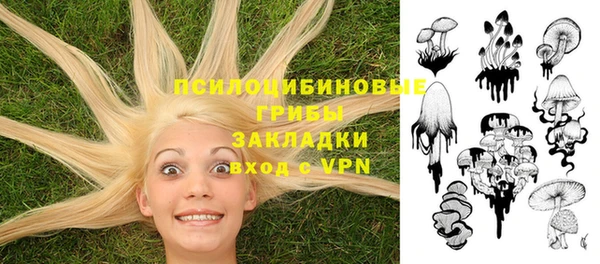 a pvp Алзамай