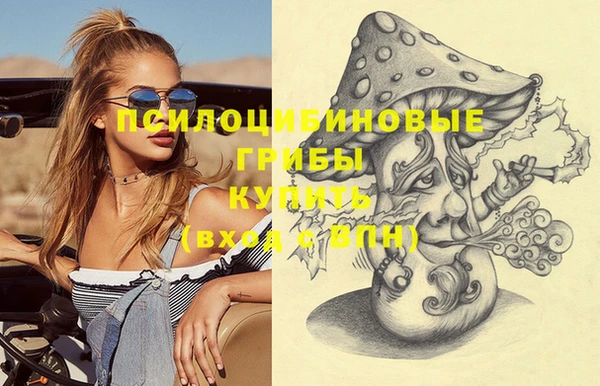 винт Арсеньев