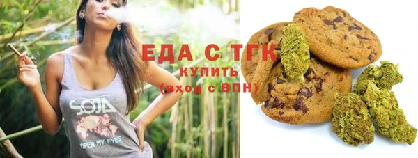 индика Аркадак